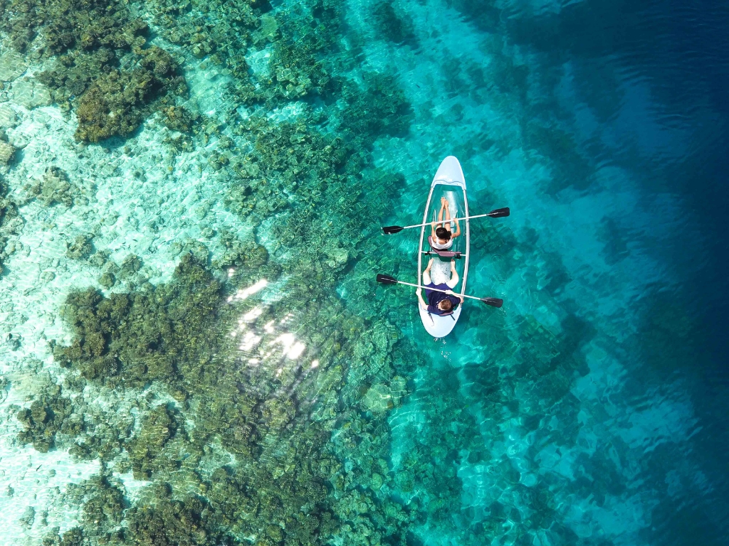 - Morning: Sea Kayaking