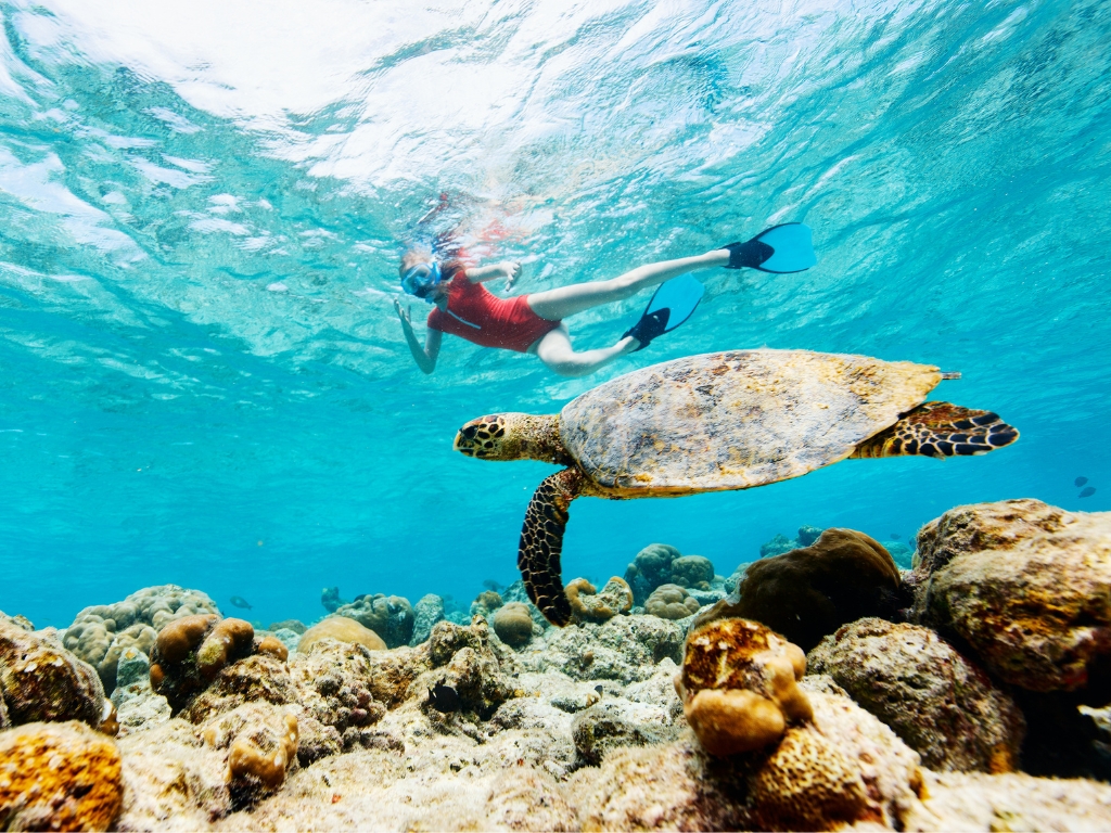 snorkeling in kapas island