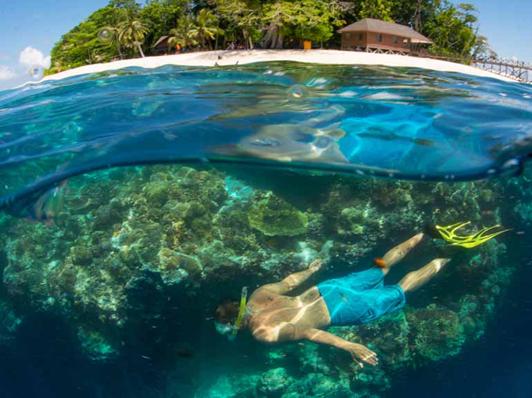 snorkeling in sipadan island