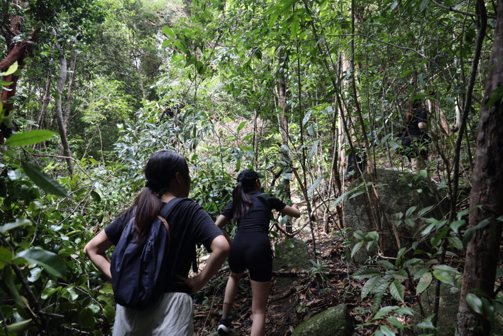 jungle trekking at perhentian island