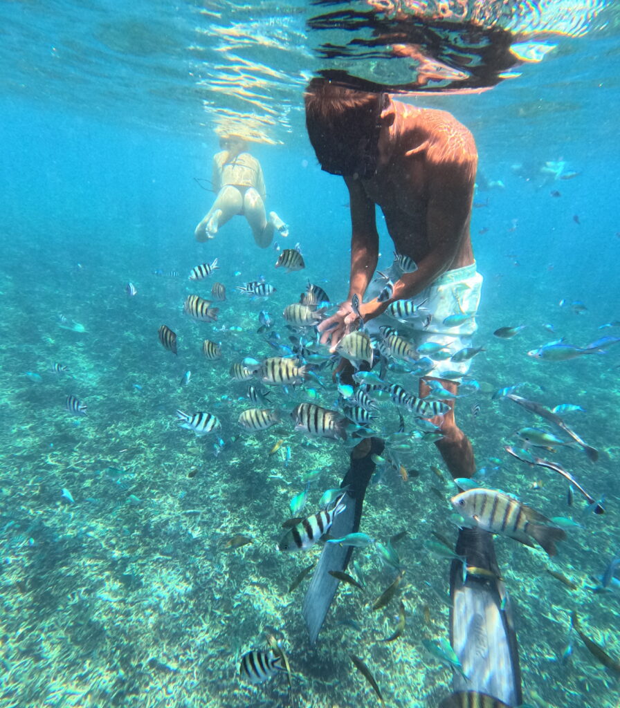 snorkeling at perhentian island